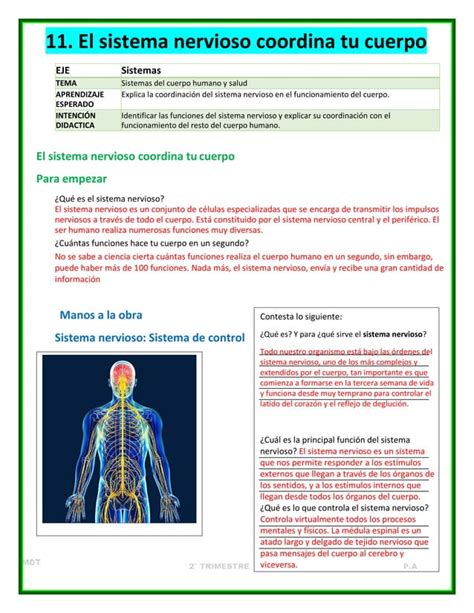 Cuadernillo Actividades Trimestre II Ciencias I PDF Descarga Gratuita