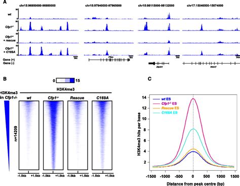 Cfp Integrates Both Cpg Content And Gene Activity For Accurate H K Me