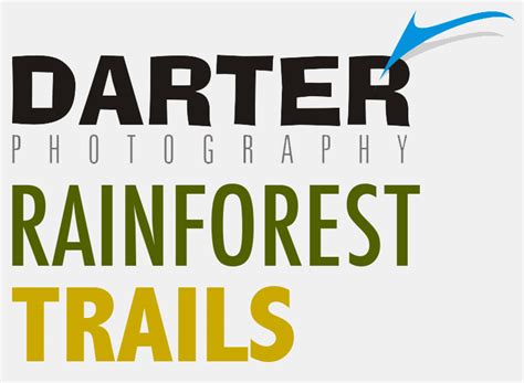 Agumbe Photography Tour - Darter Photography