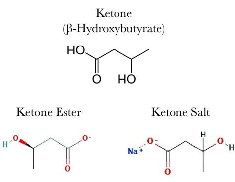 2 Types Of Exogenous Ketones: BHB Powder And Ketone Ester