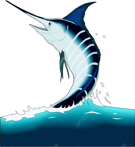 Marlin Print Only Vectors Prints Biology Fins Print Png And Vector