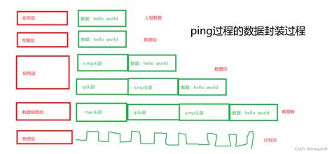 计算机网络 Ping命令的过程 Ping命令经过了哪些层 Csdn博客