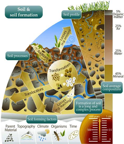 A brief overview of how soil is formed, including its soil forming ... 
