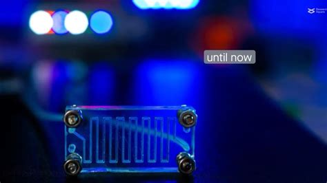 Crean Un Chip Que Simula La Vagina Para Conocer M S Sobre Las Infecciones Infobae