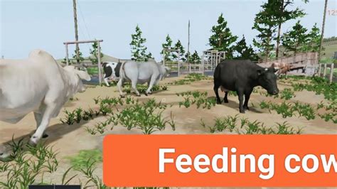 How To Feed Cows In Fs 20 Feeding Cows In Detail YouTube