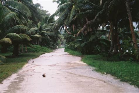 Typical Highway Around The Island Of Rotuma Through Ututu Village