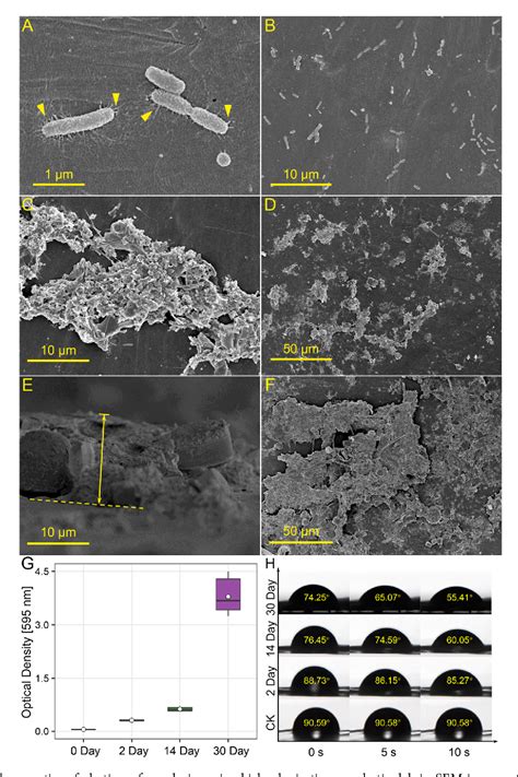 Figure 1 From Temporal Dynamics Of Antibiotic Resistome In The