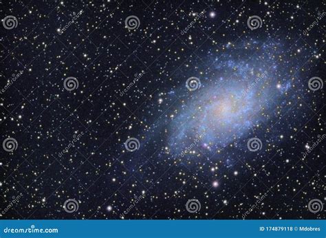 M33 Triangulum Spiral Galaxy In The Constellation Triangulum Stock