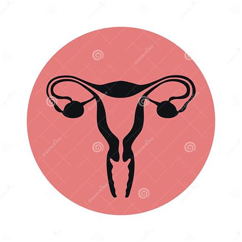 Female Reproductive System Women Uterus Ovary Icon Stock Vector