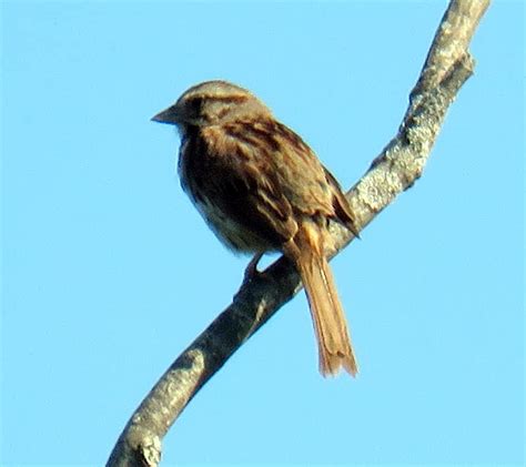 Retired Nomads: Pine Island State Wildlife Area - Portage, Wisconsin