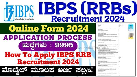 Ibps Rrb Online Form 2024 How To Apply Ibps Rrb Recruitment 2024