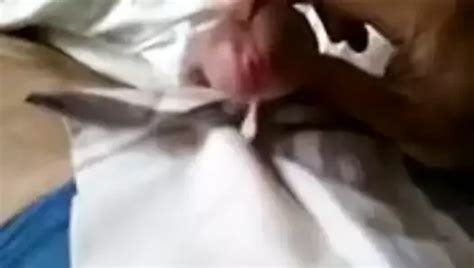 Sergessor Gay Porn Creator Videos Free Amateur Nudes XHamster