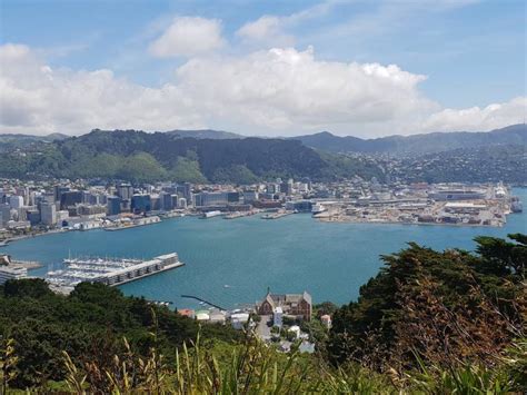 Mount Victoria Wellington What To Expect Timings Tips Trip