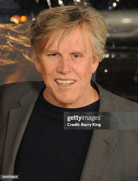 Gary Busey Crazy Photos and Premium High Res Pictures - Getty Images