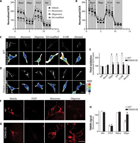 Synuclein Binds To Tom And Inhibits Mitochondrial Protein Import In