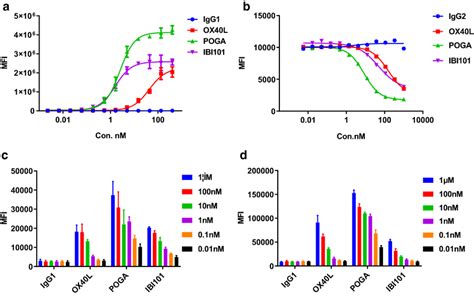 Binding And Blocking Profiles Of Ibi101 A Cell Based Binding Assay Was