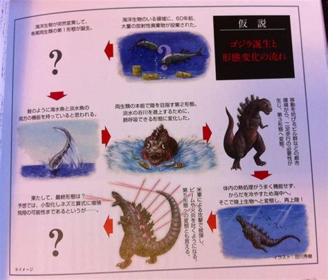 Shin Godzilla Evolution Forms