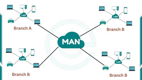 What is MAN Network-Examples, Benefits, and Working