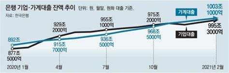 ‘주택 영끌에 ‘주식 빚투 열풍 은행 가계대출 1000조 첫 돌파 비즈n