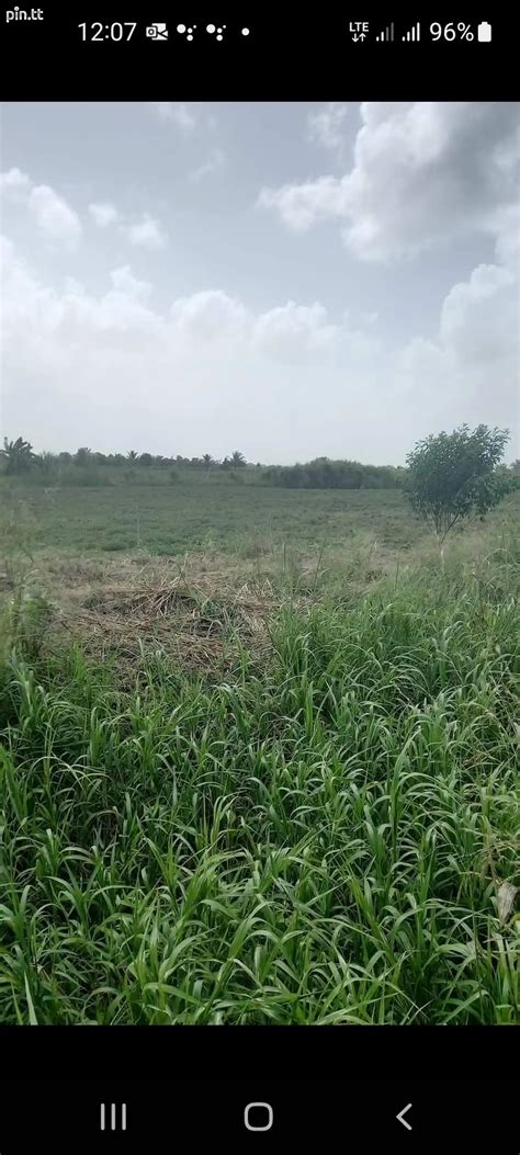 Agricultural Land 80000 Sq Ft TT 275 000 434307 In Central Land For