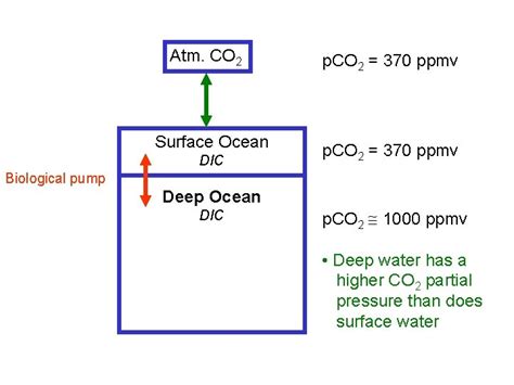 Chapter Part Basics Of Ocean Structure The