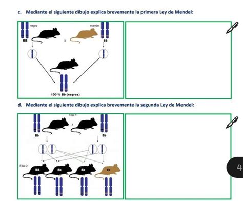 Alguien Sabe Como Resolver Porfavor O Alguien Lo Hizo Y Que Me Lo