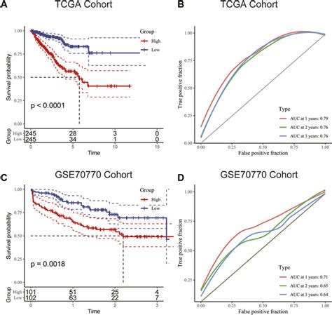 Frontiers Identification Of Molecular Subtypes And A Prognostic Signature Based On Chromatin