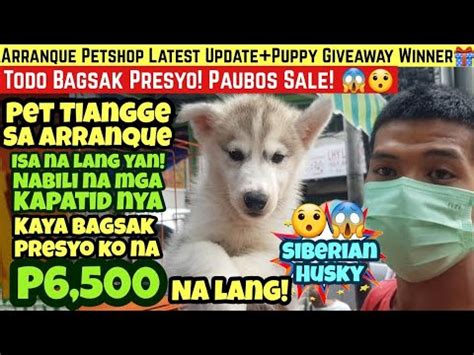 Bagsak Presyong Puppy Sa Arranque Petshop Pet Tiangge Sa Arranque