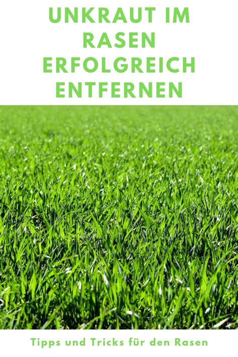 Einfach unkrautfrei 30 Unkräuter im Rasen erfolgreich entfernen