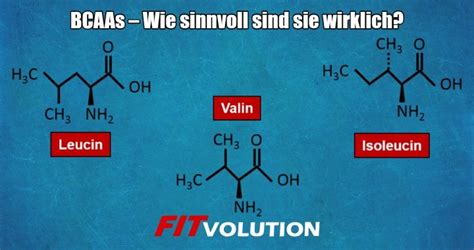 BCAAs Sinn Wirkung Und Einnahme Fitvolution