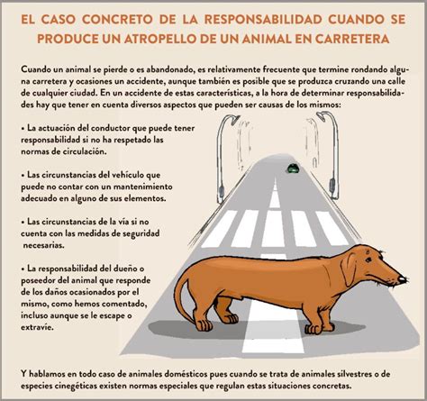 Cu Les Son Las Responsabilidades De Los Propietarios De Gatos O Perros