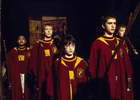 Harry Potter Quidditch Gryffindor