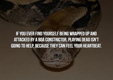 14 Creepy animal facts that might freak you out. - Creepy Gallery ...