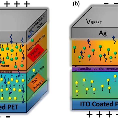 Schematic Illustration Of The Proposed Asymmetric Resistive Switching