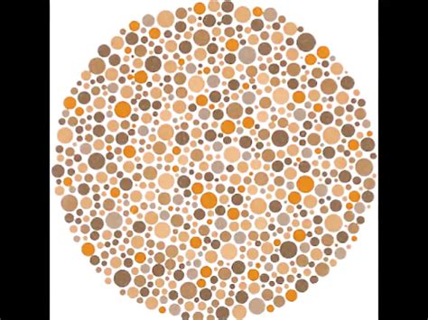 Sample Of Sci Hyp Scientific And Erotic Porn A Xhamster