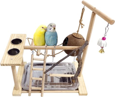 Amazon Hamiledyi Bird Playground Parrots Playstand Cockatiel Play