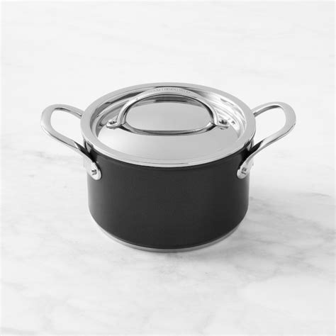 Williams Sonoma Thermo Clad Induction Nonstick Soup Pot Qt