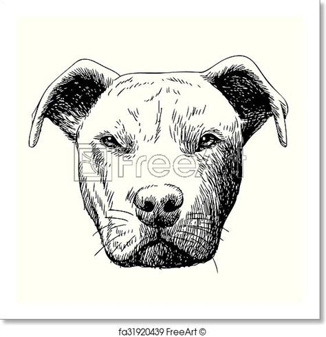 Pitbull Dog Sketch at PaintingValley.com | Explore collection of ...