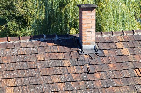 Cedar Shake Roof Cleaning Ocean Waves SoftWash