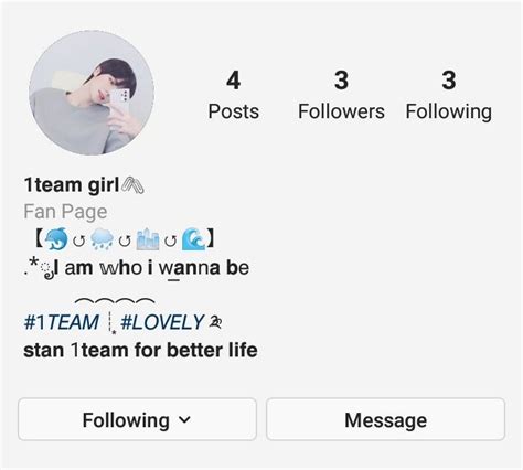 Aesthetic Instagram Bio Template