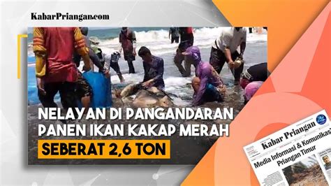 Rezeki Nomplok Nelayan Batukaras Pangandaran Dapat Ikan Kakap Merah