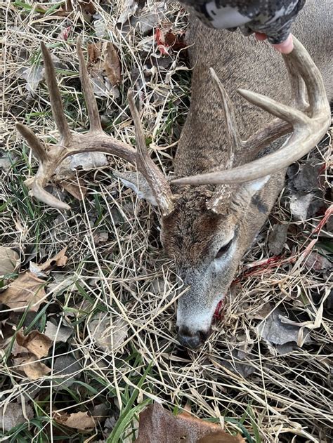 This is the biggest buck I’ve ever shot. 160” Free range Illinois. : r ...