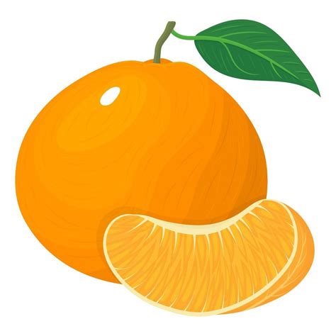 Fresh Bright Composition Of Exotic Whole And Slice Tangerine Or