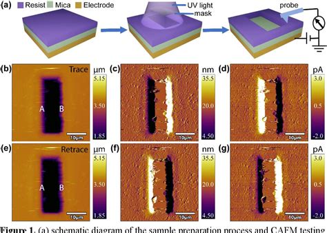 Figure 1 From Investigation Of The Topography Dependent Current In