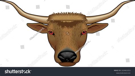 Longhorn Bull Head Vector Illustration Stock Vector (Royalty Free ...