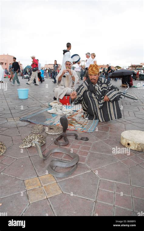 Snake charmers, Place Djemaa el-Fna, Marrakesh, Morocco, Africa Stock ...