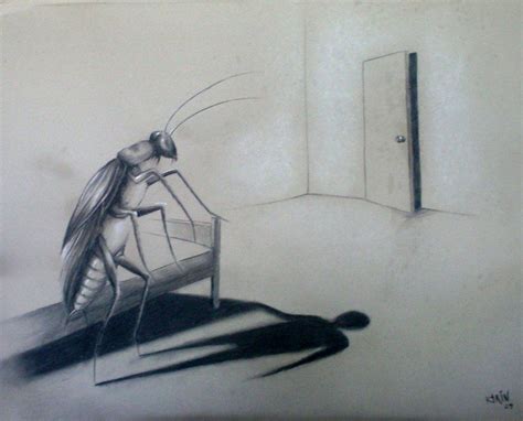 Kafka Metamorphosis Insect Illustration