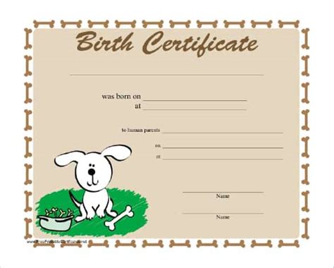 21 Free Birth Certificate Template Word Excel Formats