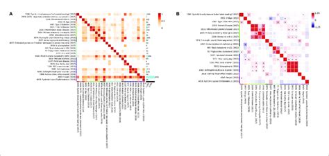 Multimarker Analysis And Genetic Correlation A Multi Marker