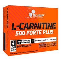 Olimp l carnitine 500 forte plus sport edition Сравнить цены и купить